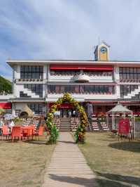 期間限定！5500円で食べれる映えるフルコース🌻絶対おすすめ🌻