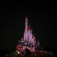 Disney land Hongkong! เริ่ม🎡🎠