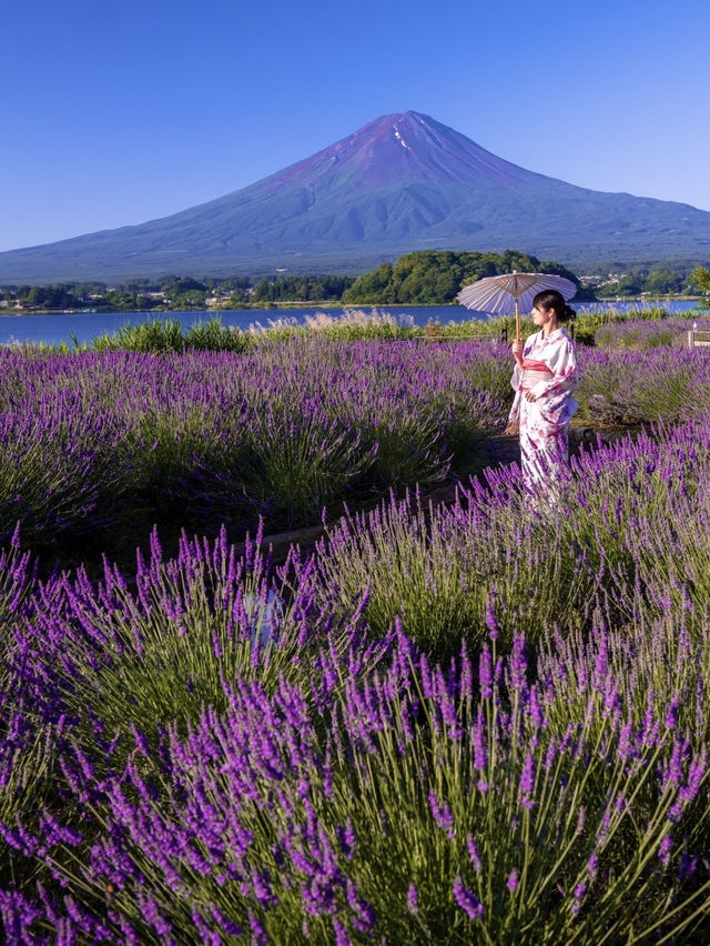 〜山梨県〜これは見た方がいい…衝撃絶景スポット🗻