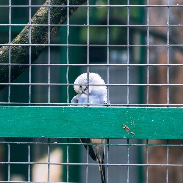 【インドネシア】ジャカルタで動物園に行くならラグナン動物園