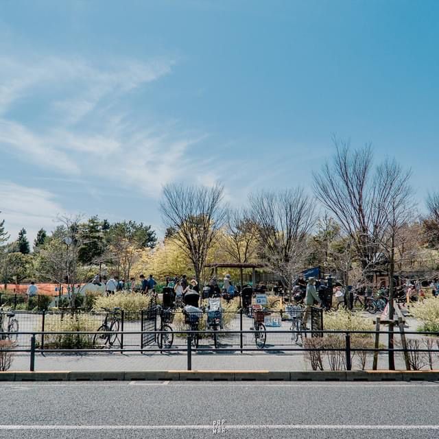 Jiyuoka