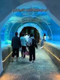 พาชมสัตว์ขั้วโลกเหนือที่ North Pole Encounter 🦭