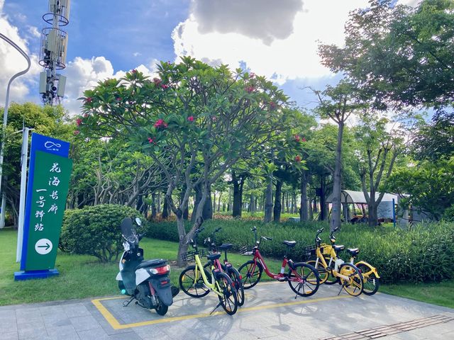 珠海橫琴花海長廊