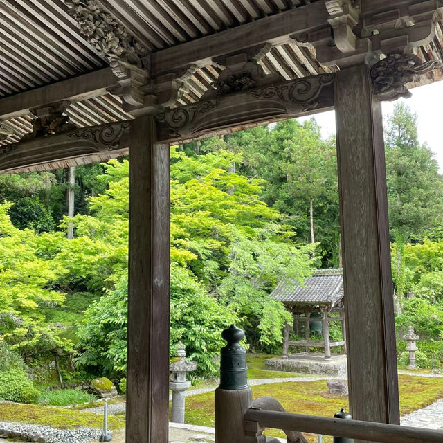 大義院～一飽眼福