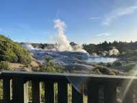 【NZ】ニュージーランド ロトルア旅