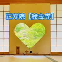 【正寿院】夏もとても綺麗🩵