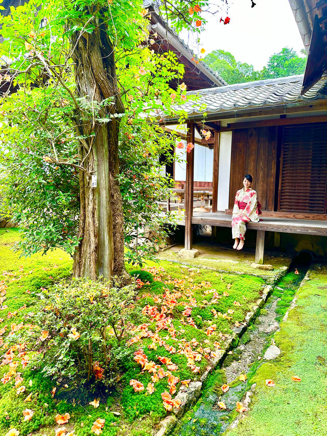 〜京都府〜最強恋愛パワスポ♡日本三大美女のお寺さん