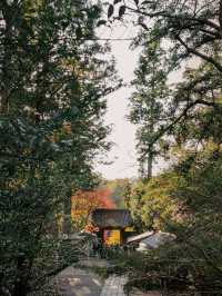 【円覚寺】北鎌倉