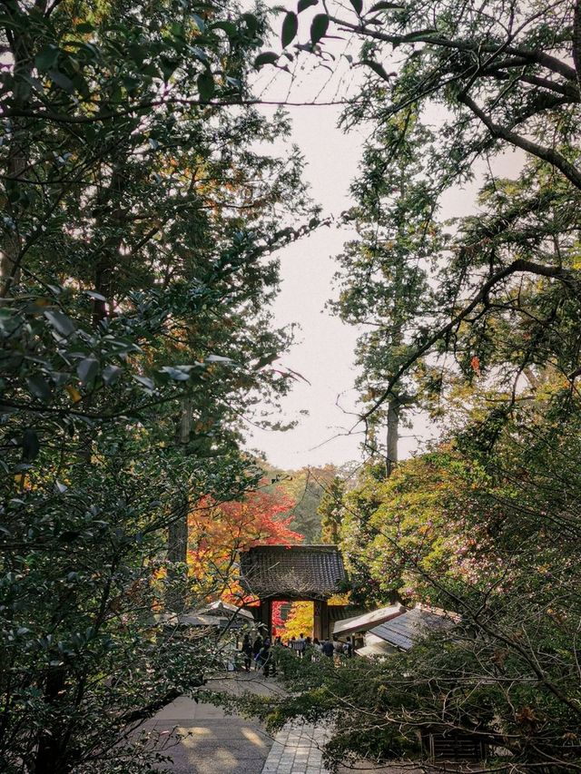 【円覚寺】北鎌倉