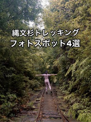 繩文杉
