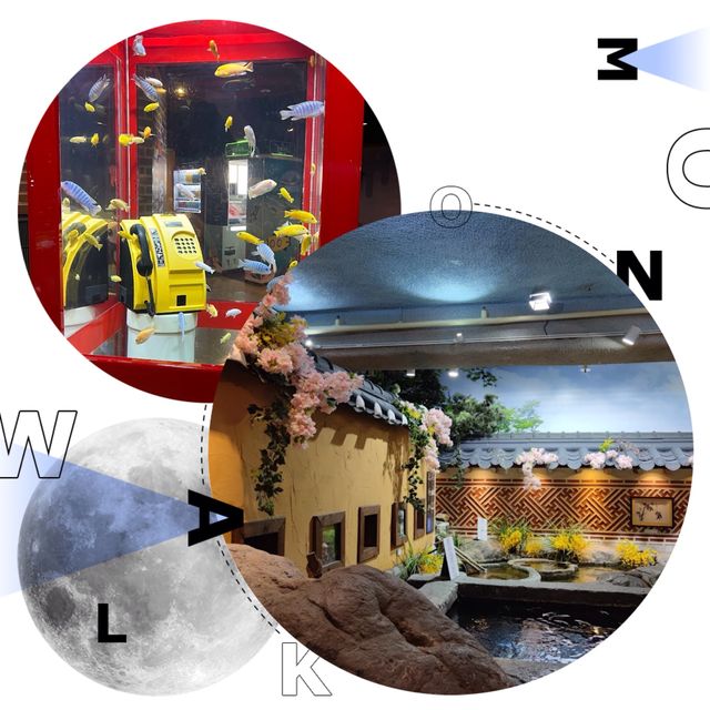 首爾最大水族館親子游