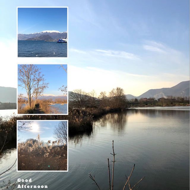 【濕地仙境】Jackman Wetlands