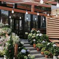 Laika cafe