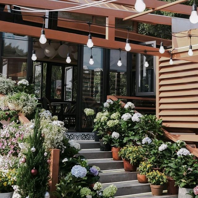Laika cafe