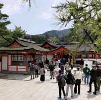 廣島景點｜世界遺產-嚴島神社-宮島-日本三景