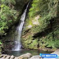 日本三大奇橋之《祖谷蔓橋》