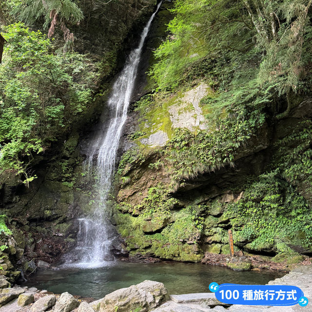 日本三大奇橋之《祖谷蔓橋》