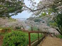 【西海橋公園:長崎県佐世保市】