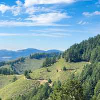 「Culicagh Mountain Park：壯麗山谷，難忘旅程！」