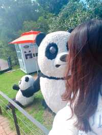 제주 여행 필수코스~! 에코랜드 테마파크🏞