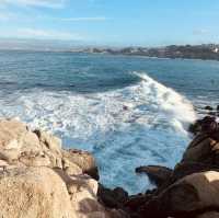 Seascape Splendor at Asilomar State Beach