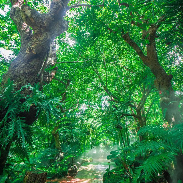  สวนอาหารชลธาร กำแพงแสน