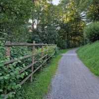 Black Forest: A Journey Through Germany’s Mystical Woodland Wonderland