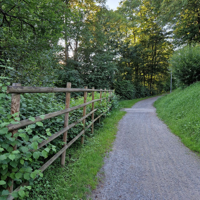 Black Forest: A Journey Through Germany’s Mystical Woodland Wonderland