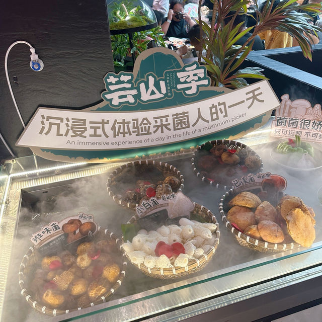 深圳都可以食到雲南野生菌火鍋💕