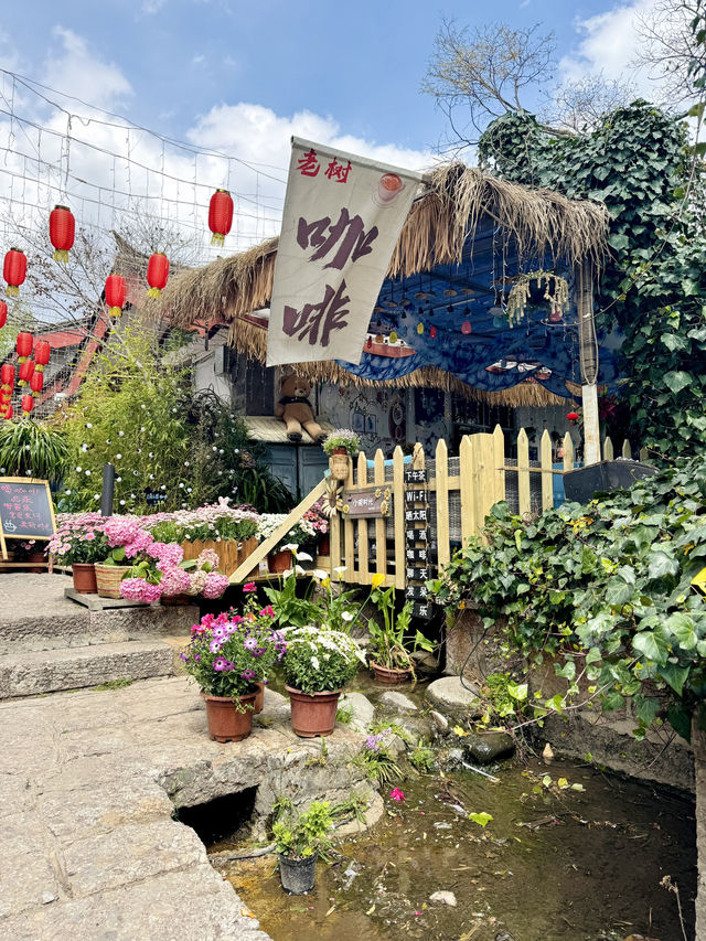 🇸🇬Charming ancient town of Shuhe in Lijiang 