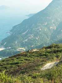 【香港】獅子山徒步：壯麗景色🏖️，全貌可見🔥🔥