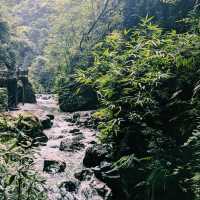 Unplanned day trip at Emeishan