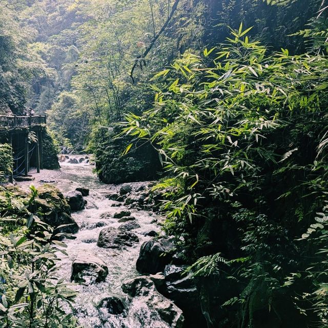 Unplanned day trip at Emeishan
