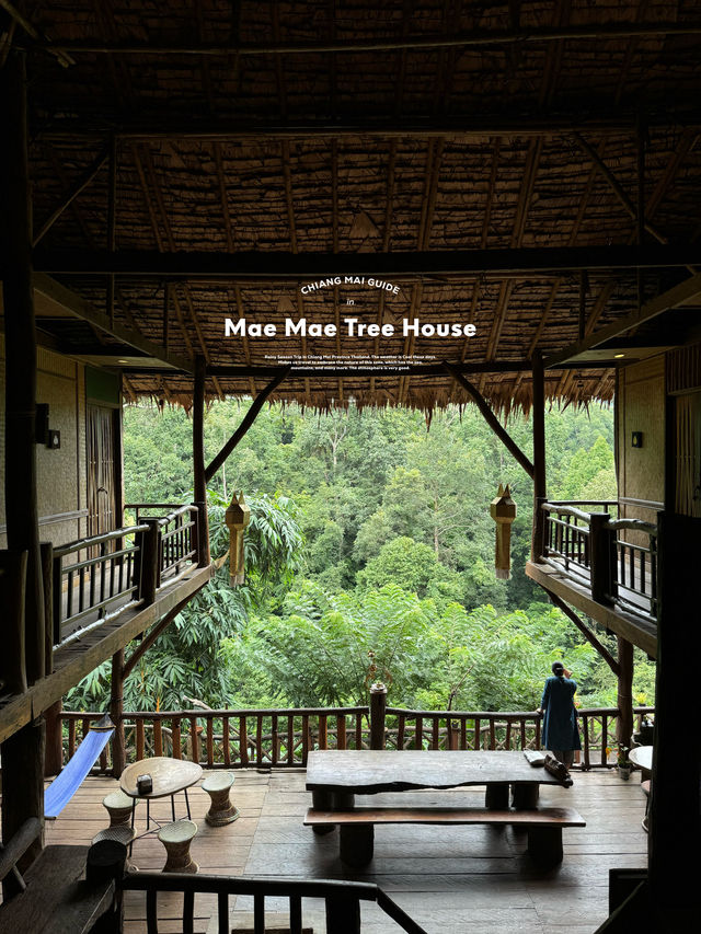 บ้านต้นไม้แม่แมะ | เชียงใหม่ 🏡⛰️🌧️🌿