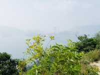 青衣自然徑：翠綠樹木、觀景台、壯麗海岸