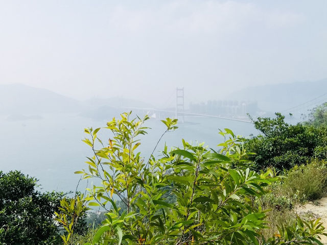 青衣自然徑：翠綠樹木、觀景台、壯麗海岸