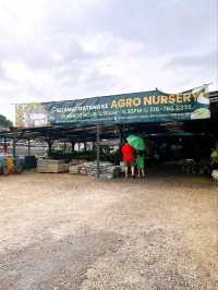 A Day at AGRO Nursery, Adda Heights
