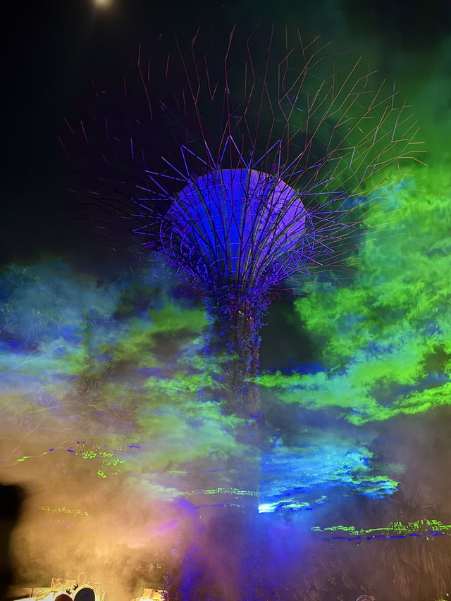 🇸🇬Don’t miss out this breathtaking light show in this Sept!