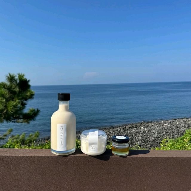 애월 카페☕️시소카이막 포함 제주도 갈만한곳 