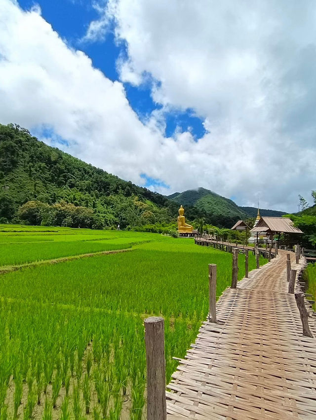 📍สูดโอโซนท่ามกลางธรรมชาติที่วัดนาคูหา แพร่