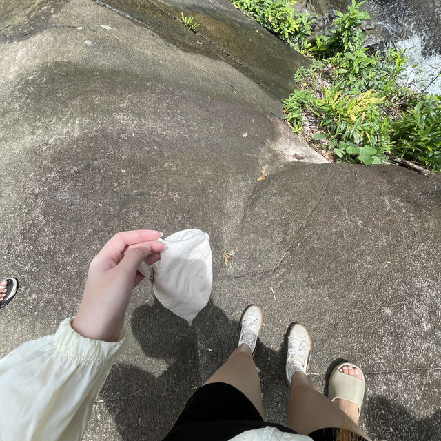 น้ำตกกกก 🌳