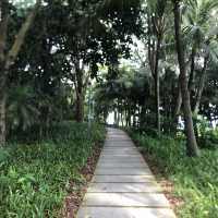☕️深圳週末一日遊：深圳灣海岸公園與白鷺坡書吧