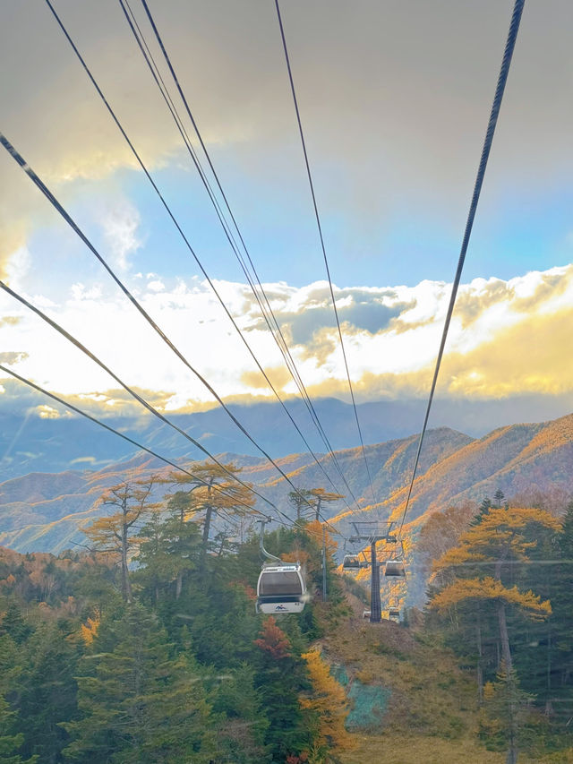 【群馬】超穴場紅葉スポット!!奇跡の絶景を楽しもう🧡