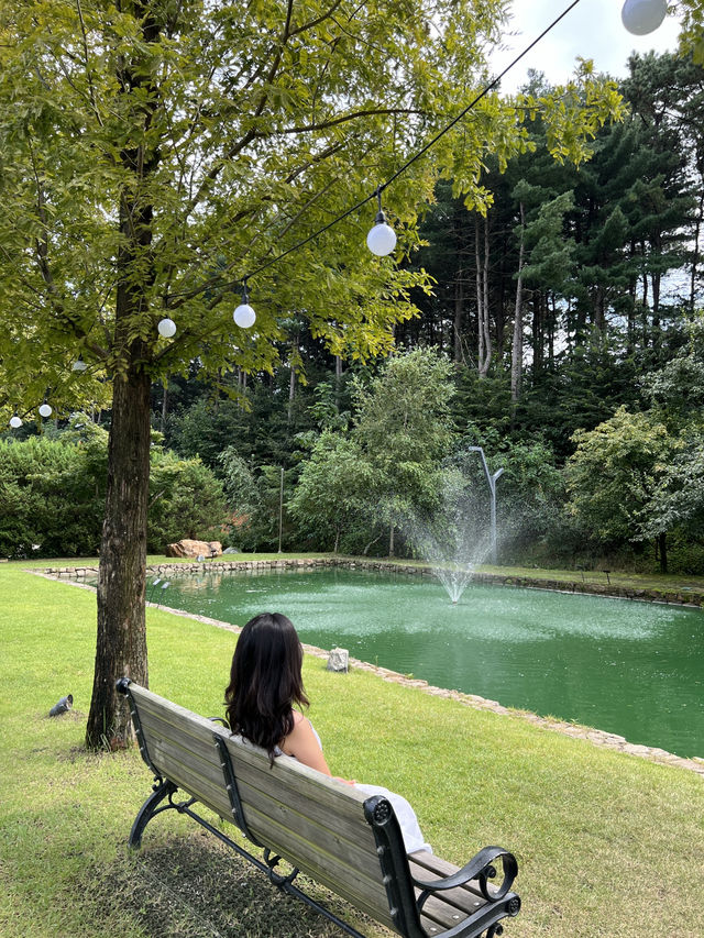 이천 외관카페 티하우스 에덴☕️🍵