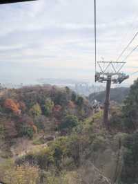 นั่งกระเช้าลอยฟ้าชมสวนที่ Nunobiki Herb Gardens 