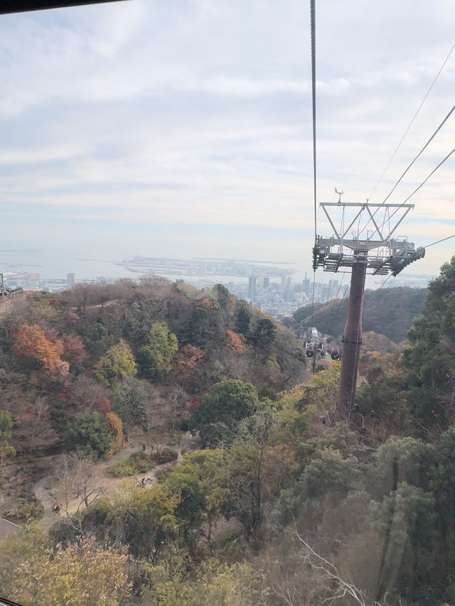 นั่งกระเช้าลอยฟ้าชมสวนที่ Nunobiki Herb Gardens 