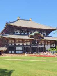 【世界最古の木造建築🏗️東大寺✨】