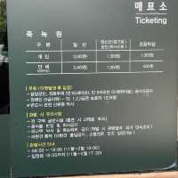 [담양] 대나무 소리가 시원한 죽녹원 여행🎋