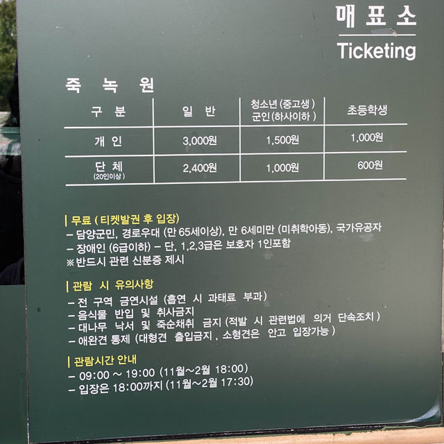 [담양] 대나무 소리가 시원한 죽녹원 여행🎋