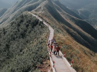 Group travel to Binh Lieu during the silver grass season